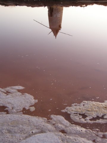 siciliaaug2009287.jpg