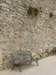 siciliaaug200946_small.jpg