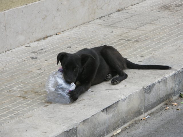 siciliaaug20098.jpg