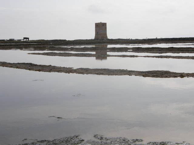 siciliaaug200985.jpg
