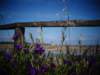 sicilia2013101_small.jpg