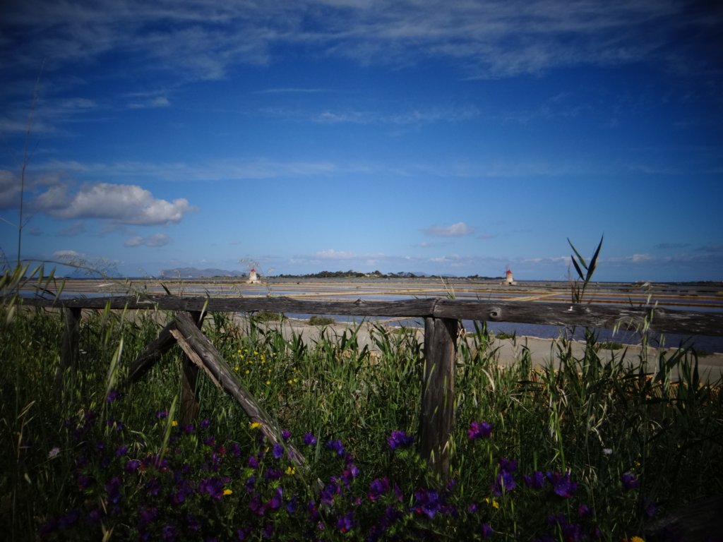 sicilia2013102.jpg