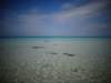 sicilia201323_small.jpg