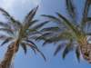 sicilia201330_small.jpg