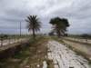 sicilia201361_small.jpg