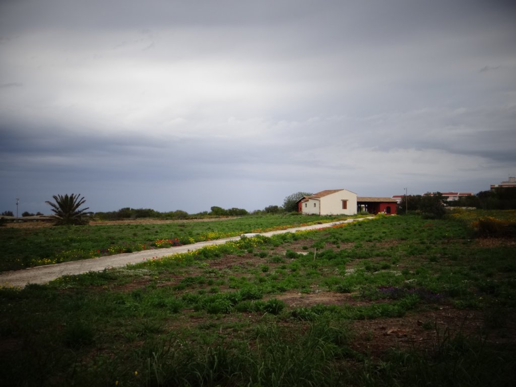 sicilia201362.jpg