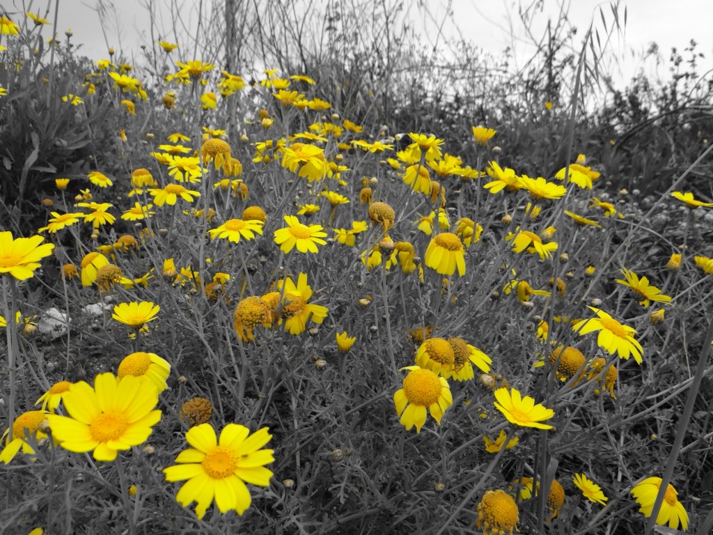 sicilia201365.jpg