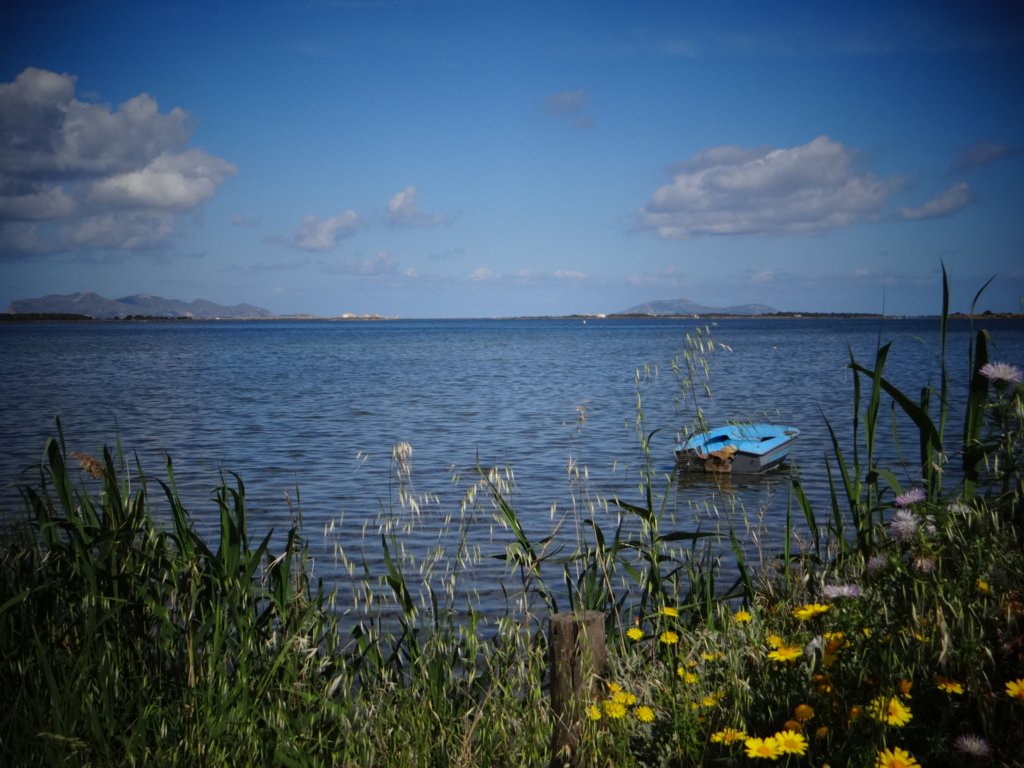sicilia201386.jpg