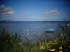 sicilia201386_small.jpg