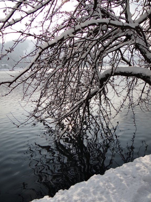 lakebled38.jpg