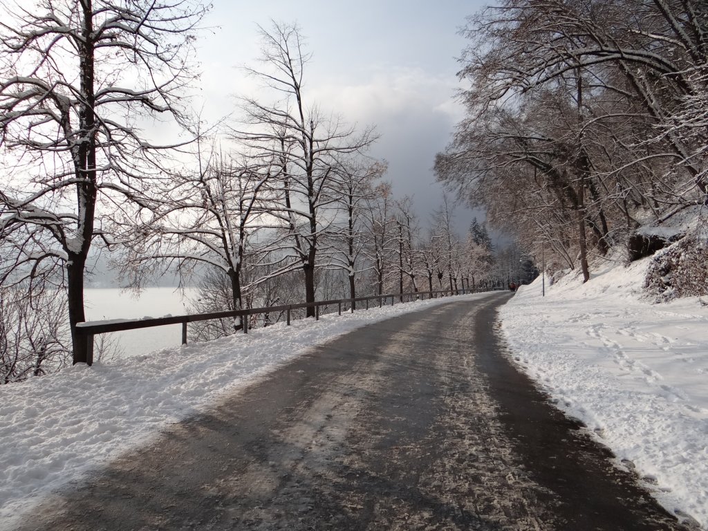 lakebled40.jpg