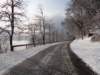 lakebled40_small.jpg
