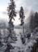 lakebled44_small.jpg