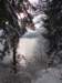 lakebled48_small.jpg