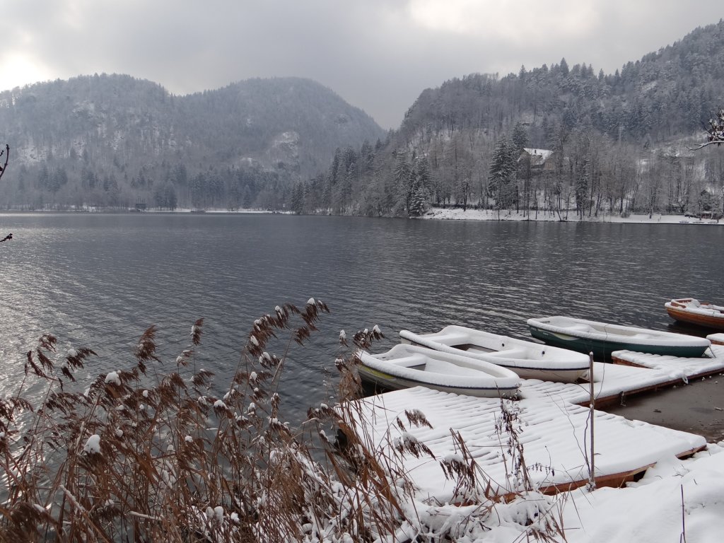 lakebled51.jpg