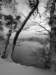 lakebled54_small.jpg