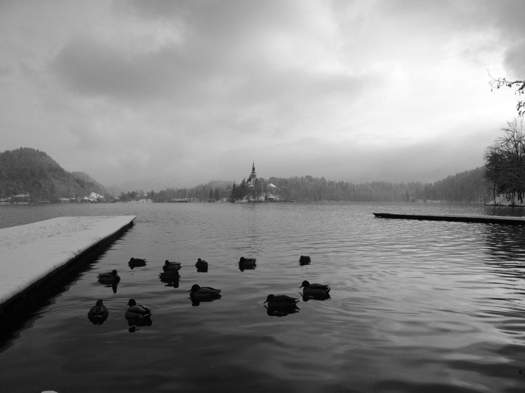 lakebled59.jpg