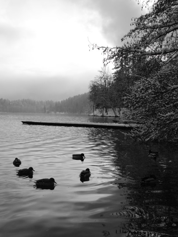 lakebled60.jpg