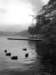 lakebled60_small.jpg