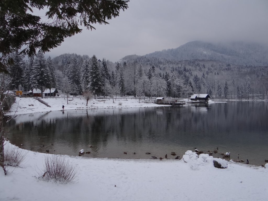 lakebled87.jpg