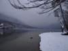 lakebled89_small.jpg