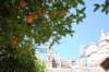 dspainportugal2008_small.jpg