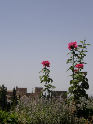 photo11.jpg