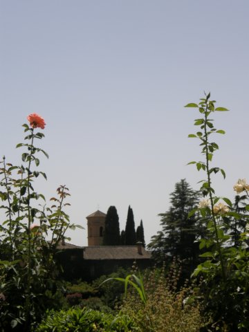 photo12.jpg