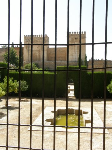 photo17.jpg