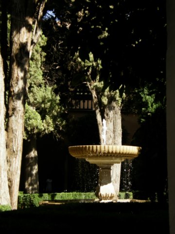 photo35.jpg