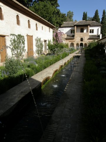 photo37.jpg