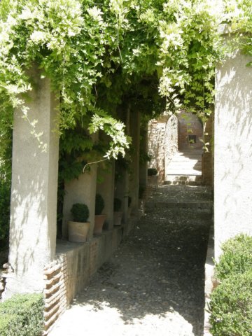 photo5.jpg