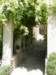 photo5_small.jpg