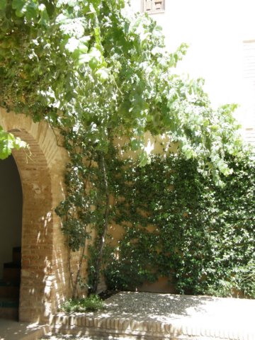 photo7.jpg