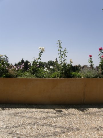 photo9.jpg
