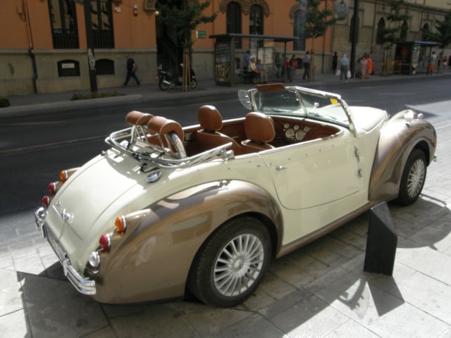 spainportugal2008100.jpg