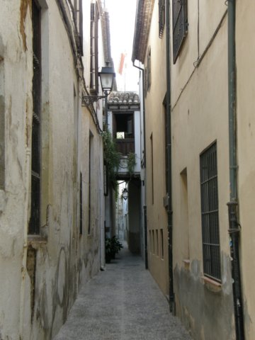 spainportugal2008108.jpg
