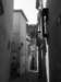spainportugal2008110_small.jpg