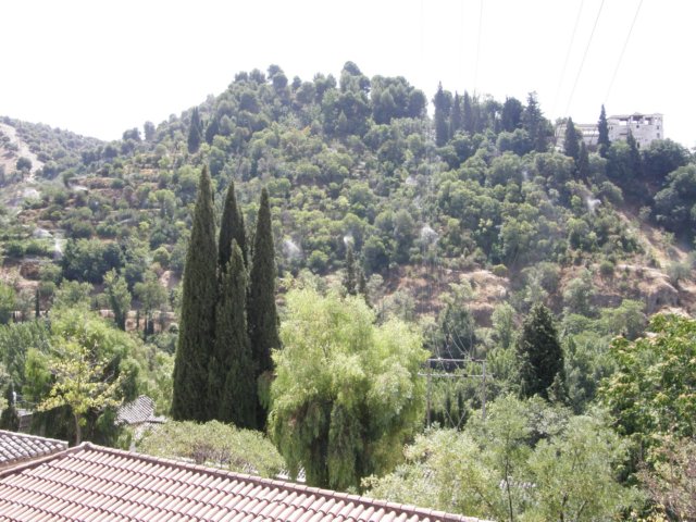spainportugal2008137.jpg