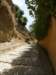 spainportugal2008144_small.jpg