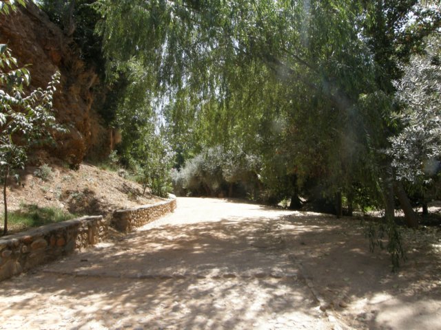 spainportugal2008145.jpg