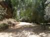 spainportugal2008145_small.jpg