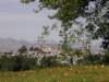 spainportugal2008150_small.jpg