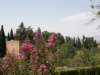 spainportugal2008151_small.jpg