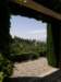 spainportugal2008156_small.jpg
