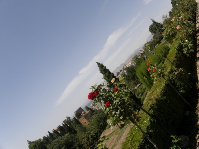 spainportugal2008158.jpg
