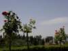 spainportugal2008159_small.jpg