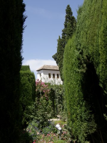 spainportugal2008166.jpg