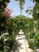 spainportugal2008168_small.jpg