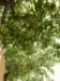 spainportugal2008174_small.jpg